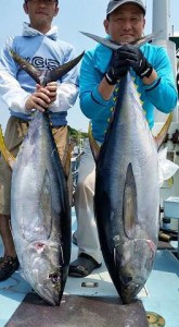 11793428_841200065965125_1038870282_n