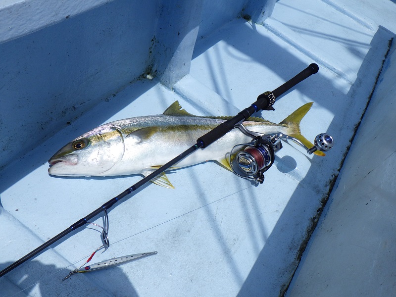 【未使用品】マングローブスタジオ ブルーアイアス BA-633S Mangrove Studio Blue Aias BA-633S : fishing shop Colony ヤフー店