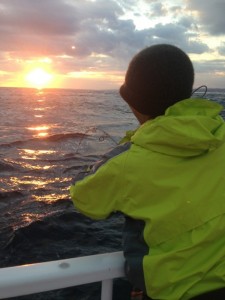 o0800106613517398684