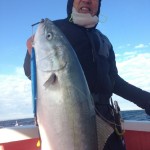 o0800106613524527740