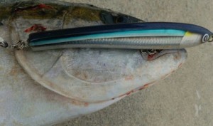 0a7c1345-7ea9-427c-b7ae-185e396c55eb