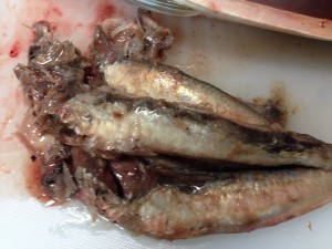 becdb66d-654b-4d1d-be2b-6315f310f95c