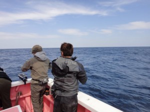 18676526-cca5-4d72-9773-11153059f009