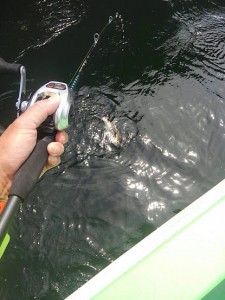 333ff6fb-5903-4c1d-b44a-b57d540799f1