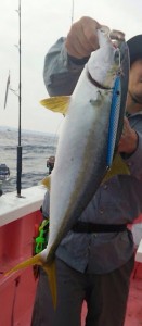 0b3b2346-2000-4a7b-8563-4d29488e64df