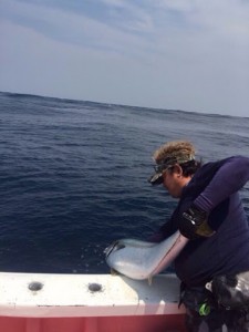 a8074cd9-d56f-4043-a75d-875fc6ae67fe