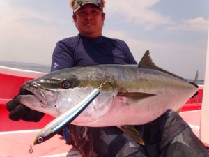 bb7ce62e-8580-42db-b614-ff197a03db2f