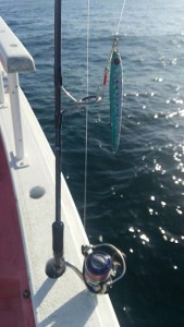 bec5877d-0f25-43c3-8cc9-a09c9b360c4f