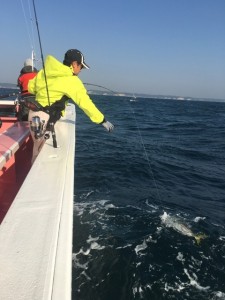 o0480064013649856467