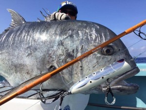 13407407_930720700374184_304842179_n