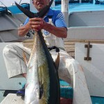 13495155_1239019376116404_6770582974315261160_n