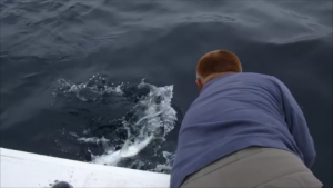 スナップショット 3 (2016-06-11 16-17)