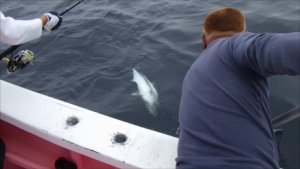 スナップショット 2 (2016-06-11 16-16)