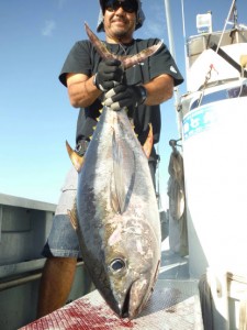 0d970908-567d-4c48-9d24-709adcf6ae6d