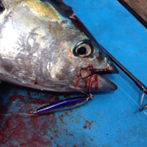 76a05d45-6dc1-462e-a85b-359926953cbd