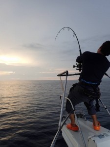 14054190_1764151000528352_8882486912571483679_n