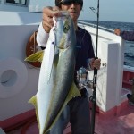 cid_ii_15884a2d43d80d1e