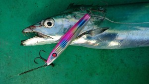 64fd33b0-2a43-417a-9da2-35a63fb24348