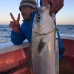 o0480064013882660719