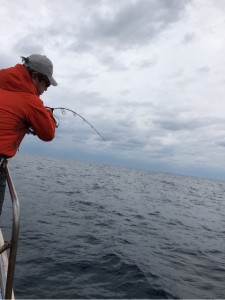 o0480064113888788517