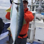 o0480064113888788538