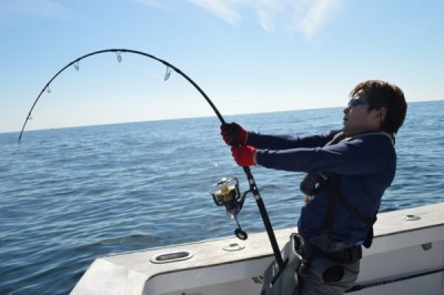 6685093396ec422d104f8d36b0a6e797-e1479401746532