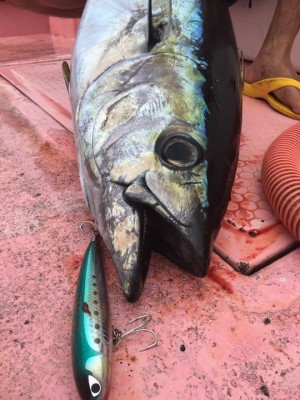 20751390_10212446595553580_1046866146_n