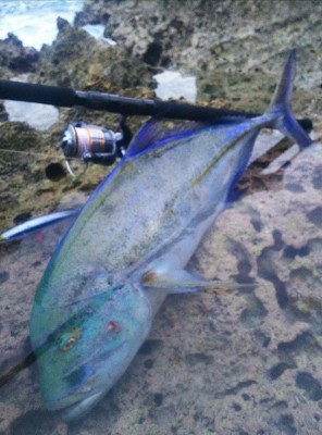 28536457_1007826536038755_1883688337_n