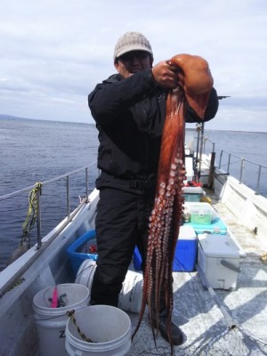 29387081_1019304741557601_3312240291473260544_n