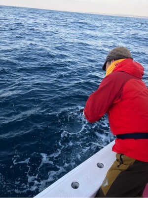 o0480064114148496933