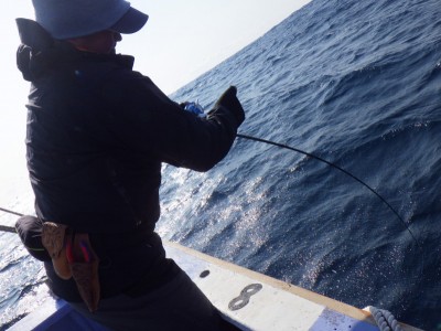 o1478110814122346674