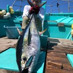 38037023_2126775184250351_1580202417629167616_n