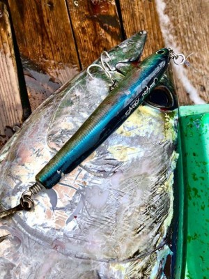 38918482_409496582908643_5963173198387216384_n