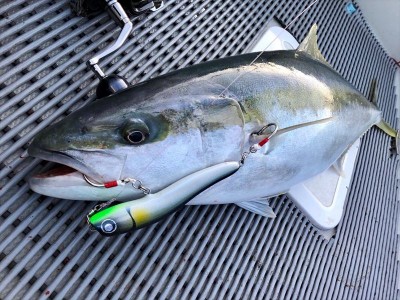 43770248_347269369360133_7047507614329995264_n_R