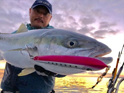 44683184_2176495749266285_8702224046642692096_n_R