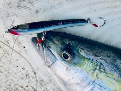 44753624_295007484445886_1024125919414976512_n