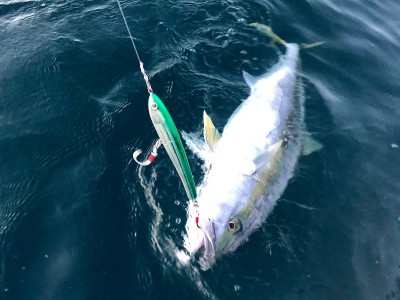 46819130_2240210259549771_4748894903386243072_n