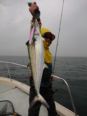 o3792505614298679149